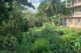 Development Land (Residential) for Sale in Port Maria