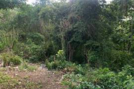 Development Land (Residential) for Sale in Port Maria