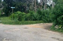 Development Land (Residential) for Sale in Port Maria