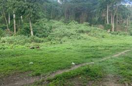 Development Land (Residential) for Sale in Port Maria