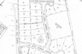 Development Land (Residential) for Sale in Ewarton