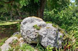 Development Land (Residential) for Sale in Oracabessa