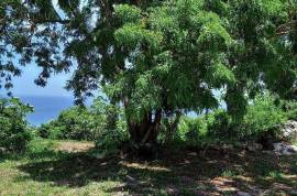 Development Land (Residential) for Sale in Oracabessa