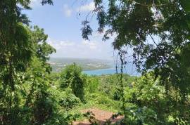 Development Land (Residential) for Sale in Oracabessa