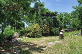 Development Land (Residential) for Sale in Oracabessa