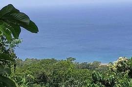 Development Land (Residential) for Sale in Oracabessa