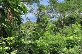 Development Land (Residential) for Sale in Oracabessa