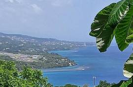 Development Land (Residential) for Sale in Oracabessa