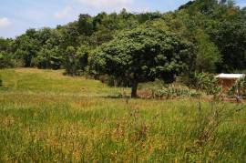 Development Land (Residential) for Sale in Spur Tree