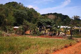 Development Land (Residential) for Sale in Spur Tree