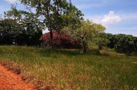 Development Land (Residential) for Sale in Spur Tree