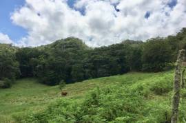 Development Land (Residential) for Sale in Bamboo