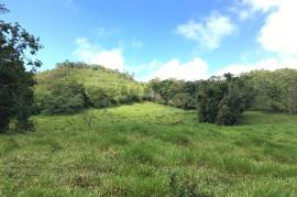 Development Land (Residential) for Sale in Bamboo