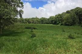 Development Land (Residential) for Sale in Bamboo