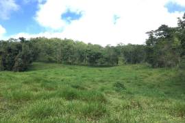 Development Land (Residential) for Sale in Bamboo