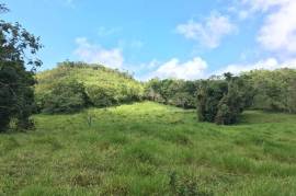 Development Land (Residential) for Sale in Bamboo