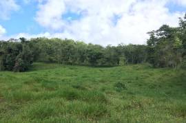 Development Land (Residential) for Sale in Bamboo