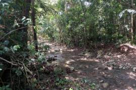 Development Land (Residential) for Sale in Seaforth