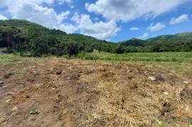 Development Land (Residential) for Sale in Seaforth