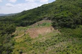 Development Land (Residential) for Sale in Seaforth