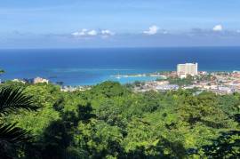 Development Land (Residential) for Sale in Ocho Rios