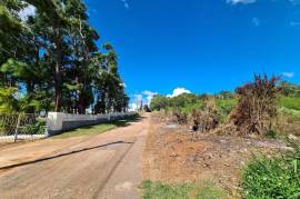 Development Land (Residential) for Sale in Spur Tree