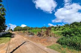 Development Land (Residential) for Sale in Spur Tree