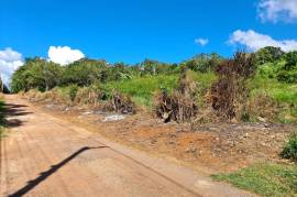 Development Land (Residential) for Sale in Spur Tree