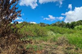 Development Land (Residential) for Sale in Spur Tree