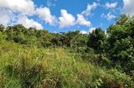 Development Land (Residential) for Sale in Spur Tree