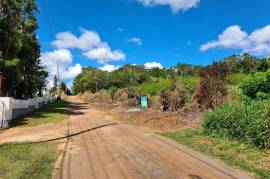 Development Land (Residential) for Sale in Spur Tree