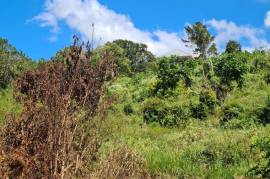 Development Land (Residential) for Sale in Spur Tree