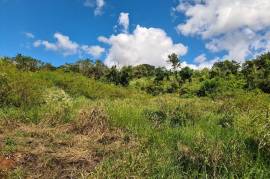 Development Land (Residential) for Sale in Spur Tree