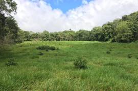 Development Land (Residential) for Sale in Bamboo