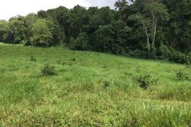 Development Land (Residential) for Sale in Bamboo