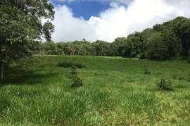 Development Land (Residential) for Sale in Bamboo