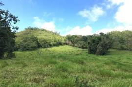Development Land (Residential) for Sale in Bamboo