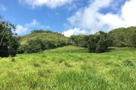 Development Land (Residential) for Sale in Bamboo