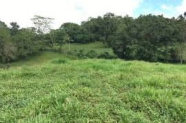 Development Land (Residential) for Sale in Bamboo