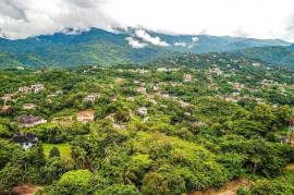 Development Land (Residential) for Sale in Kingston 9