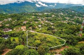 Development Land (Residential) for Sale in Kingston 9