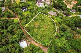 Development Land (Residential) for Sale in Kingston 9