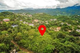 Development Land (Residential) for Sale in Kingston 9