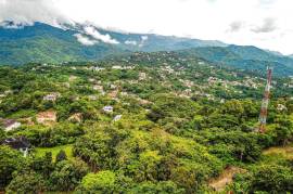 Development Land (Residential) for Sale in Kingston 9