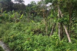 Development Land (Residential) for Sale in Long Bay