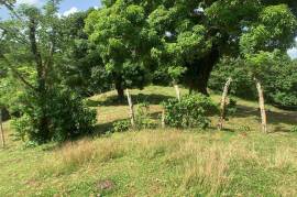 Development Land (Residential) for Sale in Priestman's River