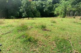 Development Land (Residential) for Sale in Priestman's River