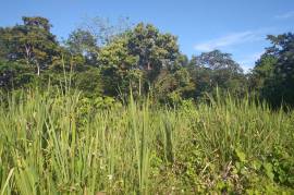 Development Land (Residential) for Sale in Boscobel