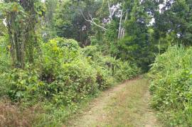 Development Land (Residential) for Sale in Boscobel