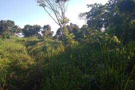 Development Land (Residential) for Sale in Boscobel